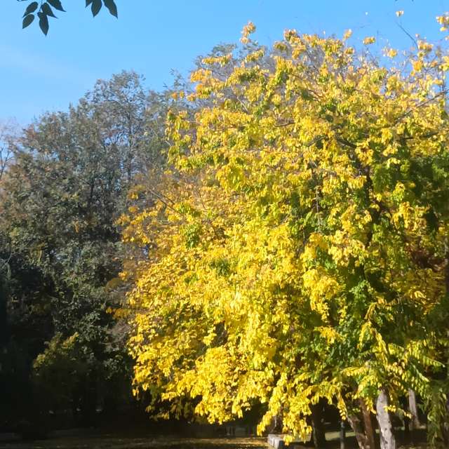 Fotos del Puente. Pronósticos del tiempo con hermosas fotos de YanBog en București