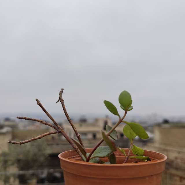 Pronósticos del tiempo con hermosas fotos de Abo_Malek