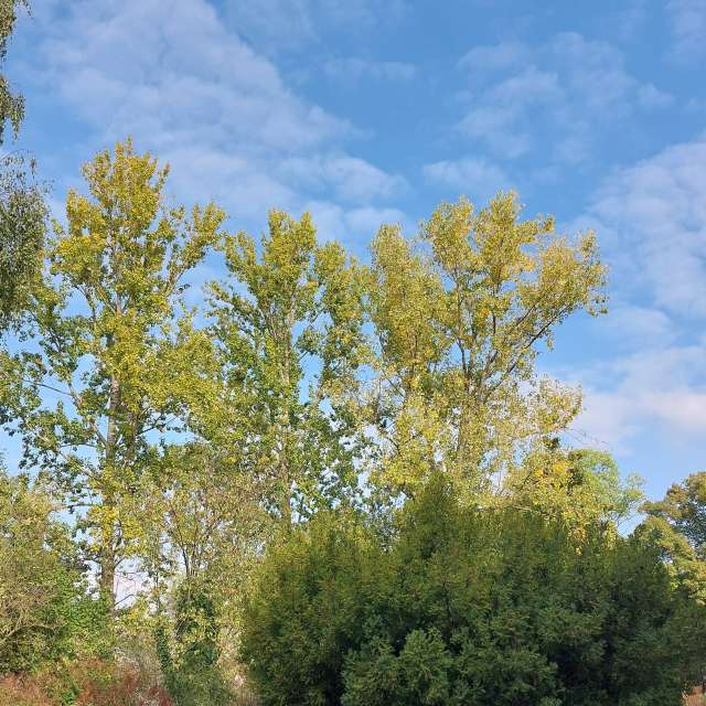 Previsões do tempo com lindas fotos de MaLou