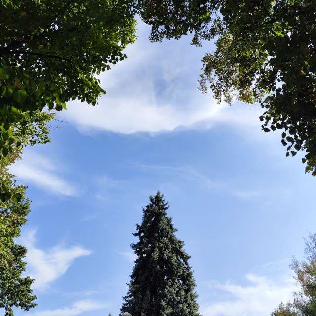 Bench. Weather forecasts with beautiful photos by Lupsaman Photos in Timișoara