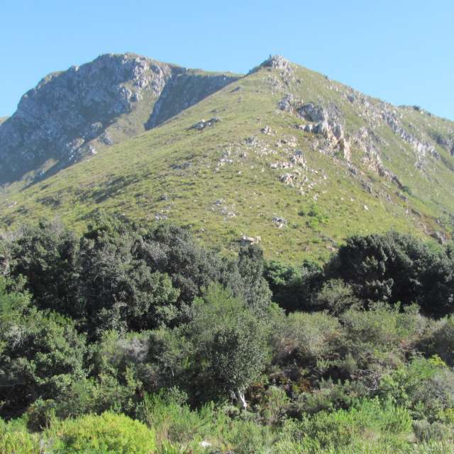 Betty s bay south africa 14 days weather forecast radar photos weawow