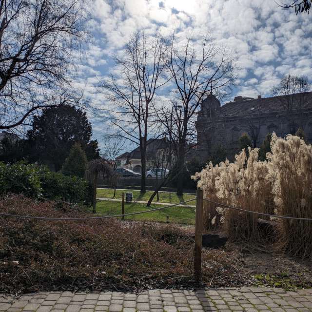 Dækket. Vejrudsigt med smukke fotos af Lupsaman -billeder i Timișoara