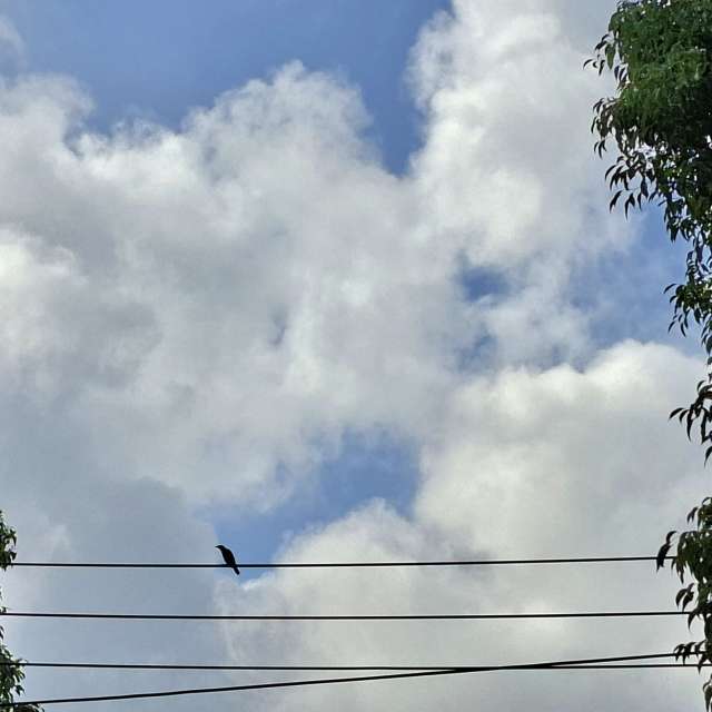 Traveling. Weather forecasts with beautiful photos by Wen-ya Huang Photos in Kaohsiung City