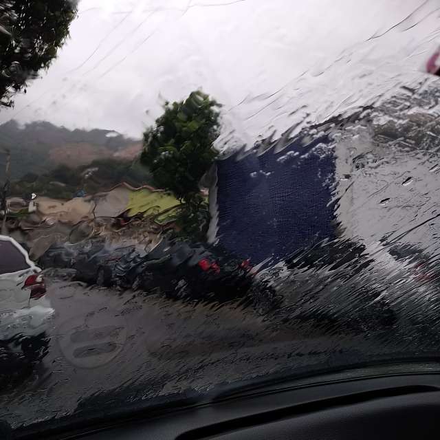 Pronósticos del tiempo con hermosas fotos de Bruy