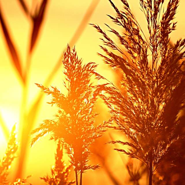 Weather Photos in World. Weather forecasts with beautiful photos by tony5636