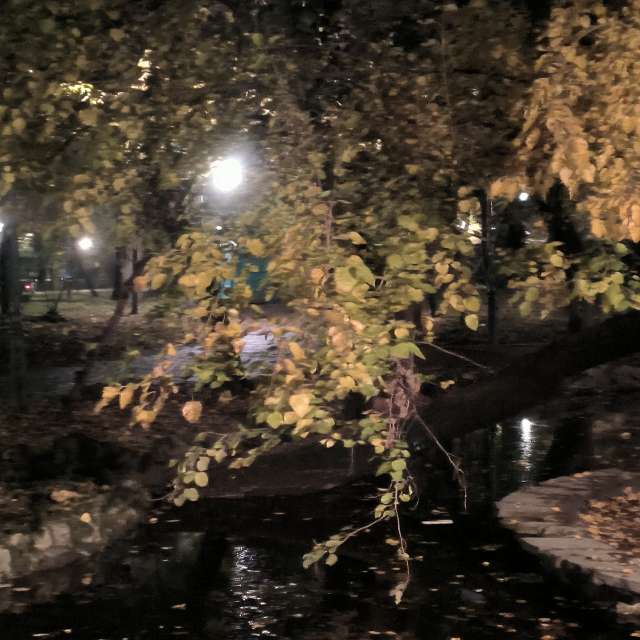 Fotos del Iluminado. Pronósticos del tiempo con hermosas fotos de YanBog en București