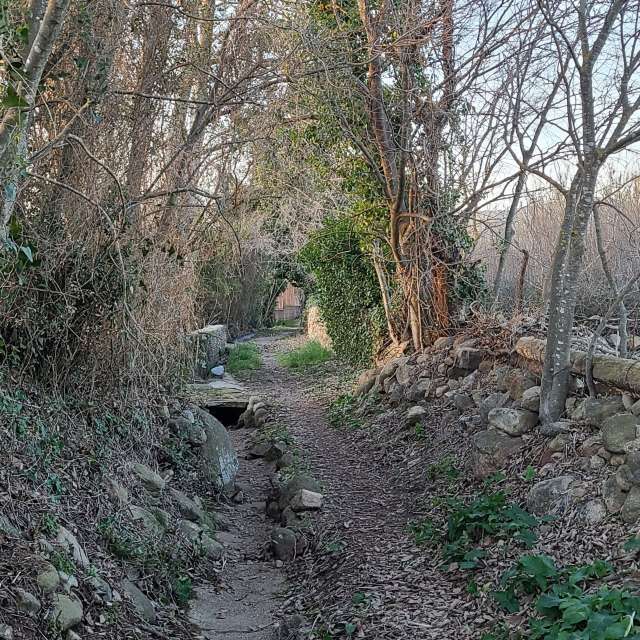 Pronósticos del tiempo con hermosas fotos de G3r4rd