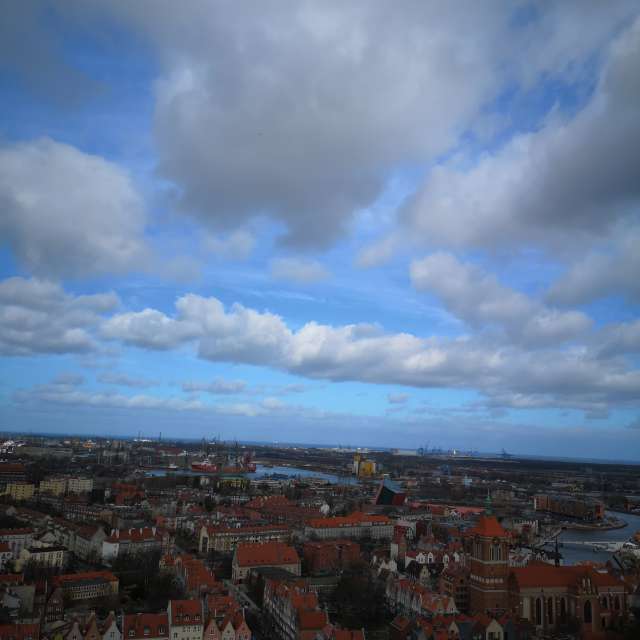 Field. Weather forecasts with beautiful photos by prusto Photos in Gdansk