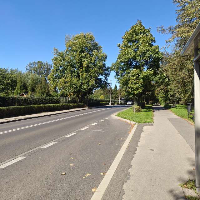 Fotos del Escena. Pronósticos del tiempo con hermosas fotos de zjabri en Cracovia