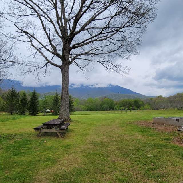 Pronósticos del tiempo con hermosas fotos de Birdy25