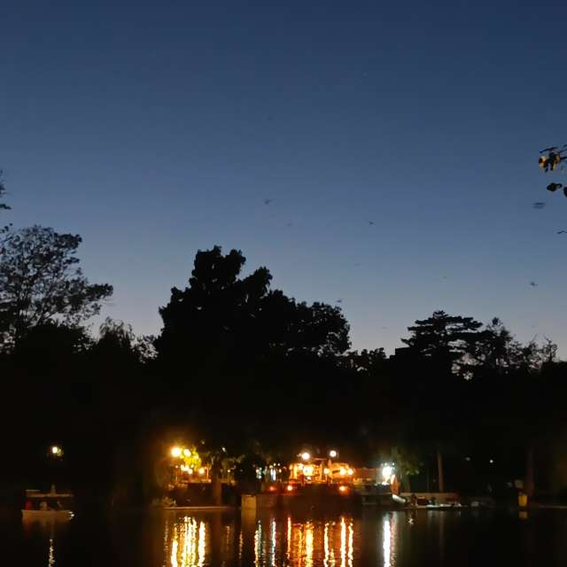 Fotos del Vista. Pronósticos del tiempo con hermosas fotos de YanBog en București