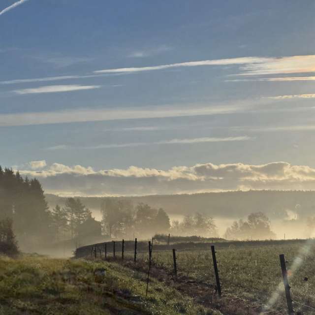 Weather forecasts with beautiful photos by Pietro Cici