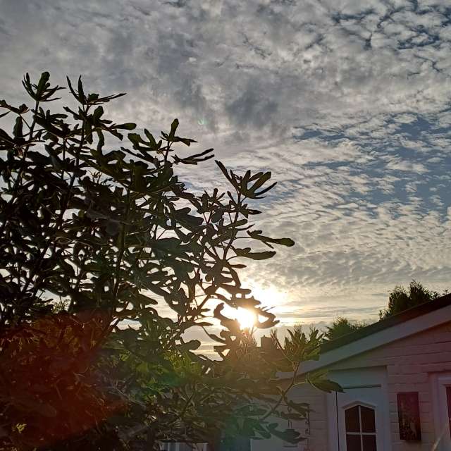 Photos Devant. Prévisions météo avec de superbes photos de Lolli de Maidstone