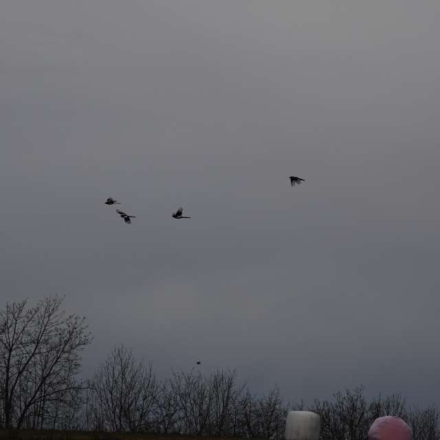 Fotos Nublado. Previsões do tempo com lindas fotos de Vasek325 em Praha 5