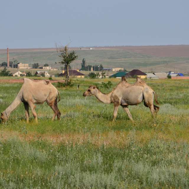 Fotos sobre el clima en Mundo. Pronósticos del tiempo con hermosas fotos de Andrey72
