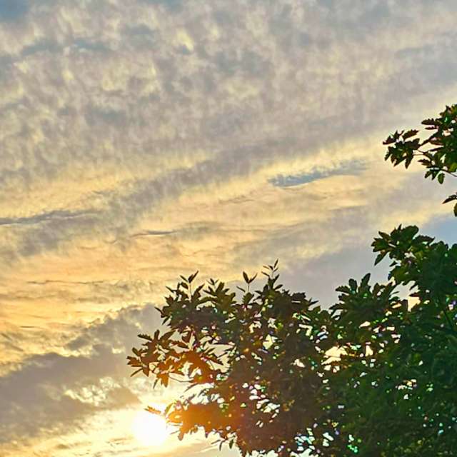 Fotos Ovelha. Previsões do tempo com lindas fotos de Seni em Velbert