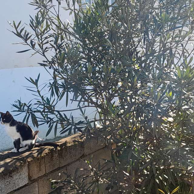 天气预报，带Soheilpmi精美的照片