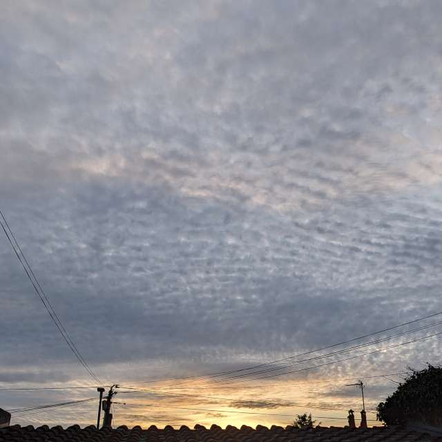 Foto di Erba. Previsioni del tempo con incredibili foto di Roytinez31 a Cugnaux