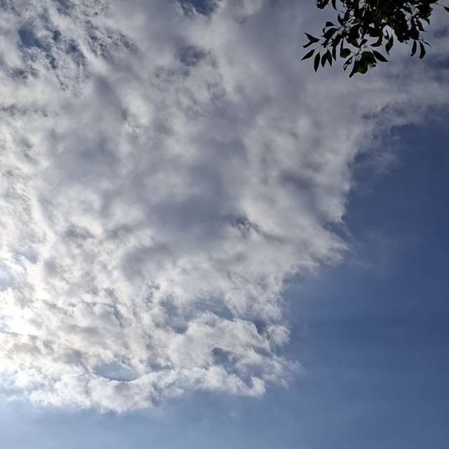 Prévisions météo avec de superbes photos de Wen-ya Huang