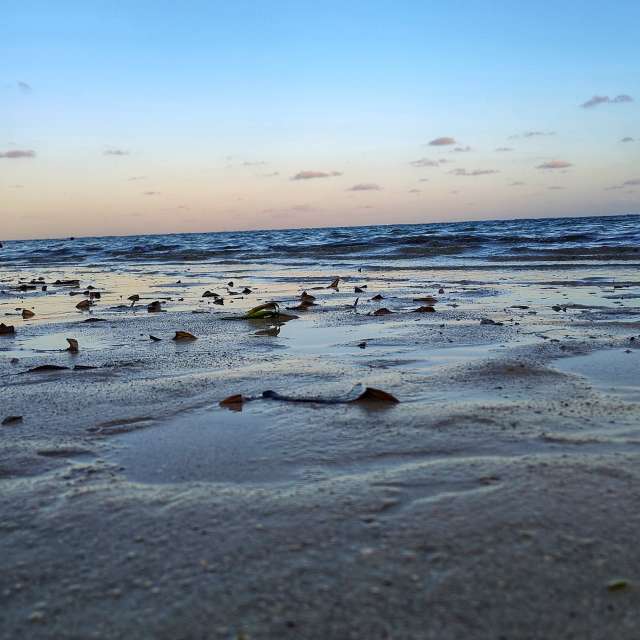 Wakarimaの美しい写真による天気予報