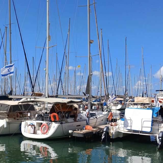 天气预报，带Zaza精美的照片