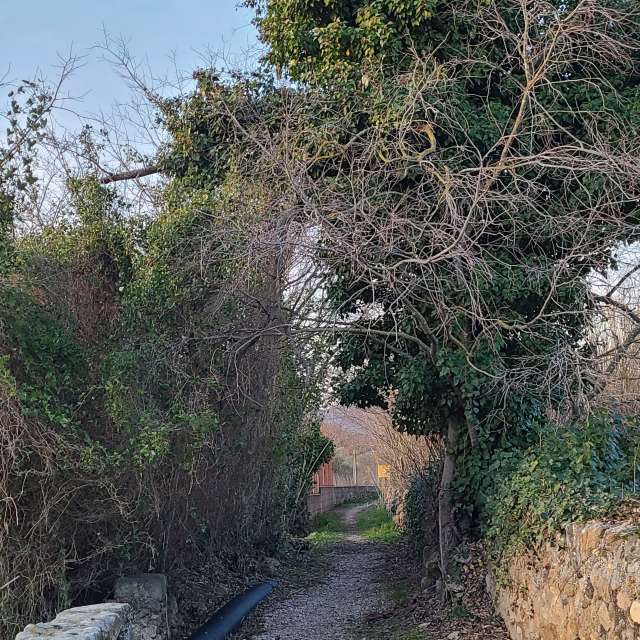 Pronósticos del tiempo con hermosas fotos de G3r4rd