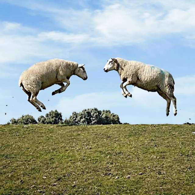 Prévisions météo avec de superbes photos de Kasalinde