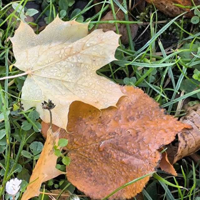 Dự báo thời tiết với những bức ảnh đẹp của Claudsch