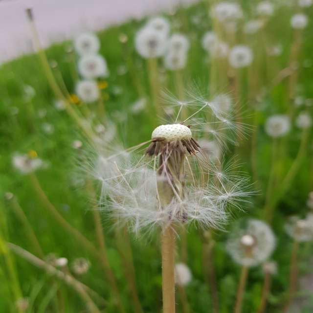 Předpovědi počasí s krásnými fotografiemi od SkyInn