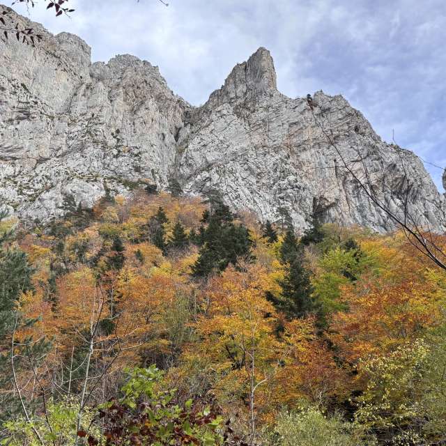 Прогнозы погоды с чудесными фотографиями, сделанными Kiko de Brugada