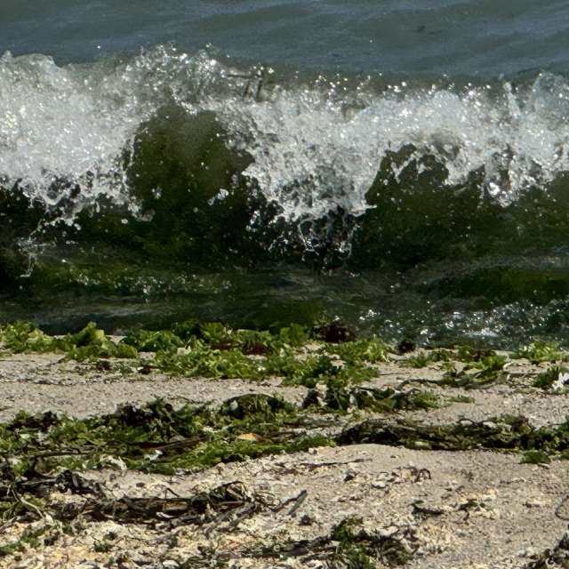 Prévisions météo avec de superbes photos de Sonia
