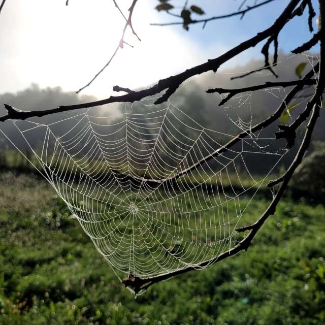 Air. Weather forecasts with beautiful photos by Anamarija Photos in Slovenia