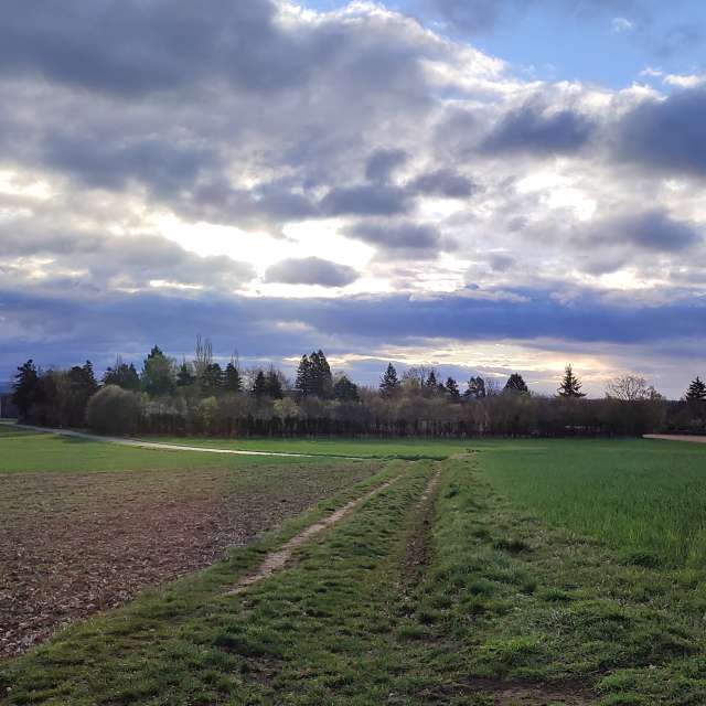 accoteの美しい写真による天気予報