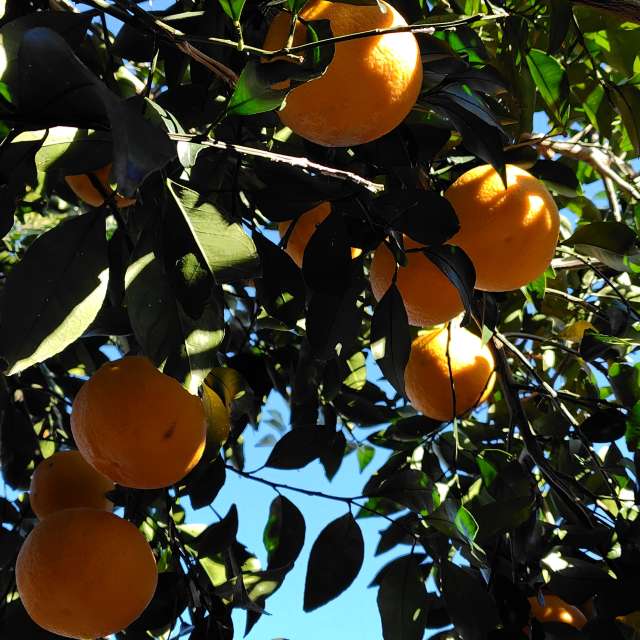 Weather forecasts with beautiful photos by umemui