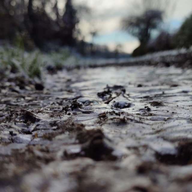 天气预报，带Brtd精美的照片
