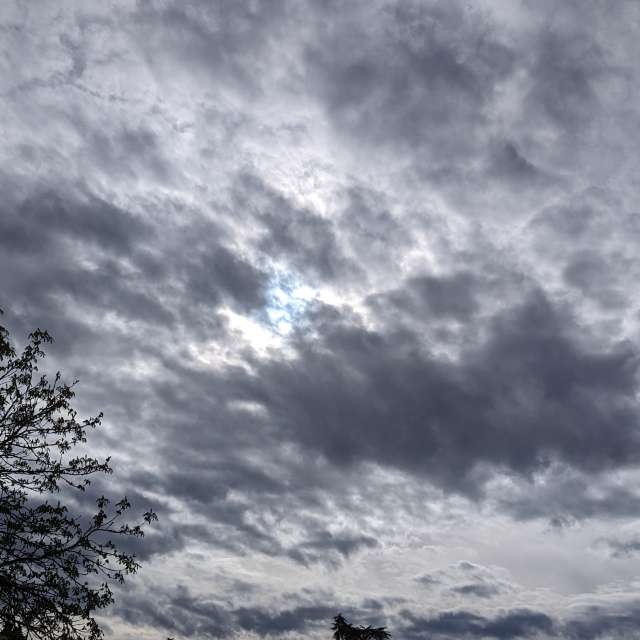 Fliegend. Wettervorhersagen mit schönen Fotos von Roytinez31 Fotos Cugnaux