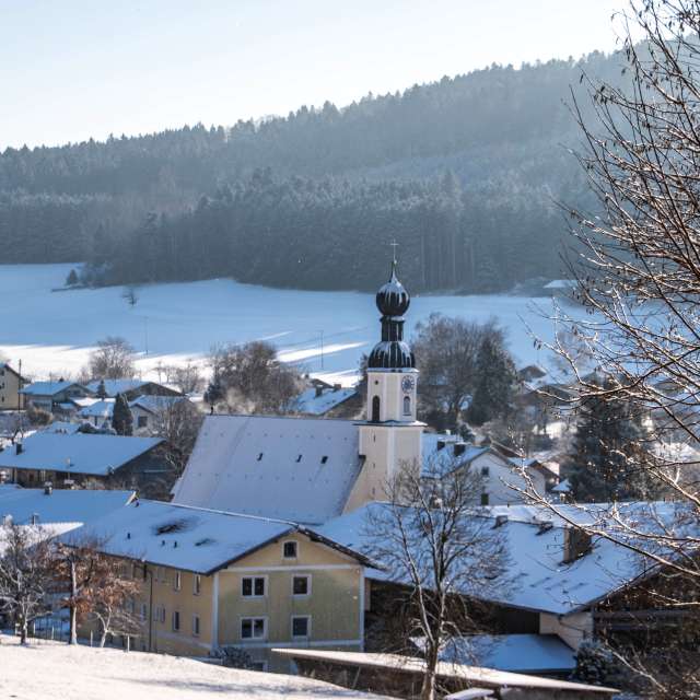 Winter. Weather forecasts with beautiful photos by Airene Photos in World