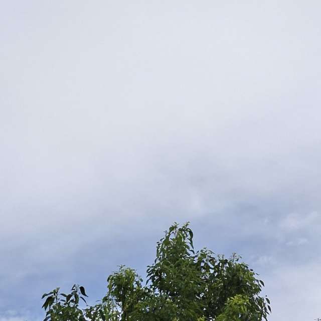 Green. Weather forecasts with beautiful photos by Yvonne Huang Photos in World