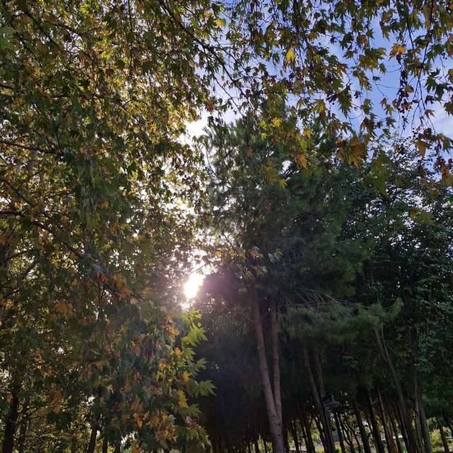 Hình ảnh Thời tiết ở Antalya. Dự báo thời tiết với những bức ảnh đẹp của batuhantelim