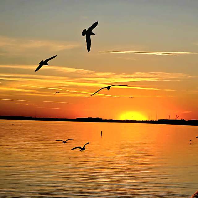 Previsões do tempo com lindas fotos de jJaycox