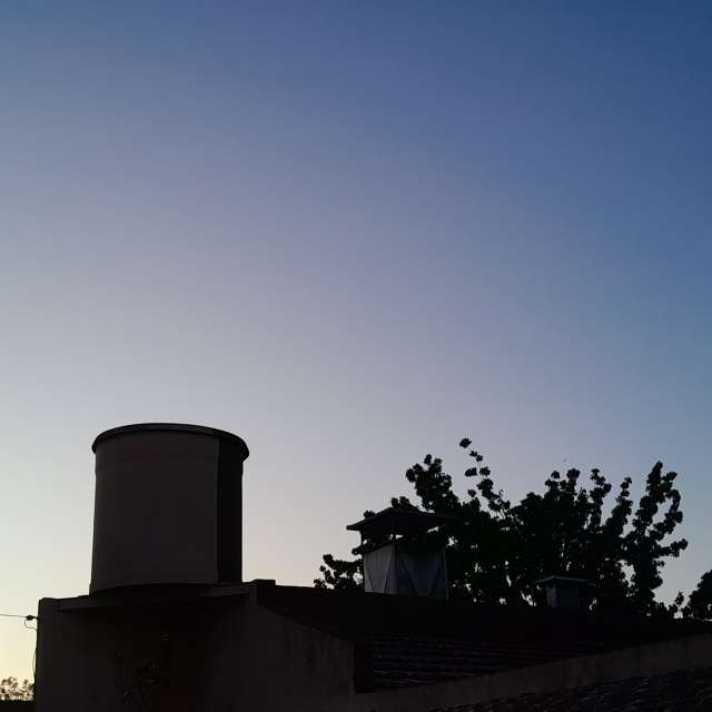 Grass. Weather forecasts with beautiful photos by SEBASTIAN14 Photos in Olivos