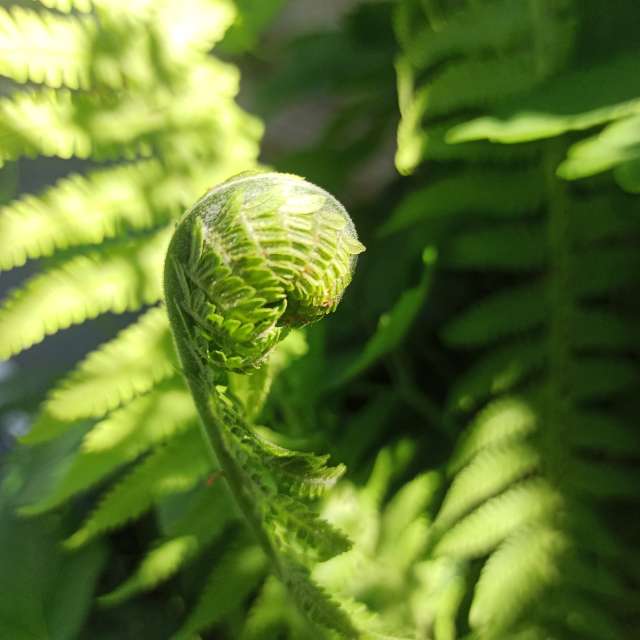 天气预报，带NataliaVologda精美的照片