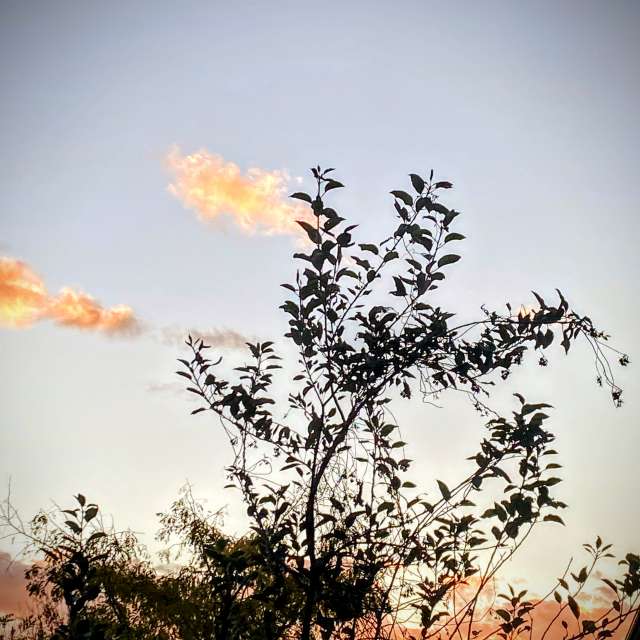 Jumping. Weather forecasts with beautiful photos by Lulu5523 Photos in le Plateau