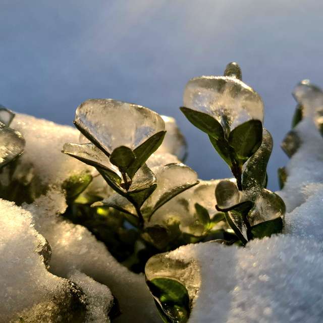 Weather forecasts with beautiful photos by Iryna