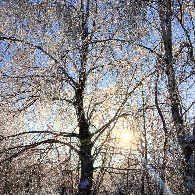 天气预报，带Michael_1969精美的照片