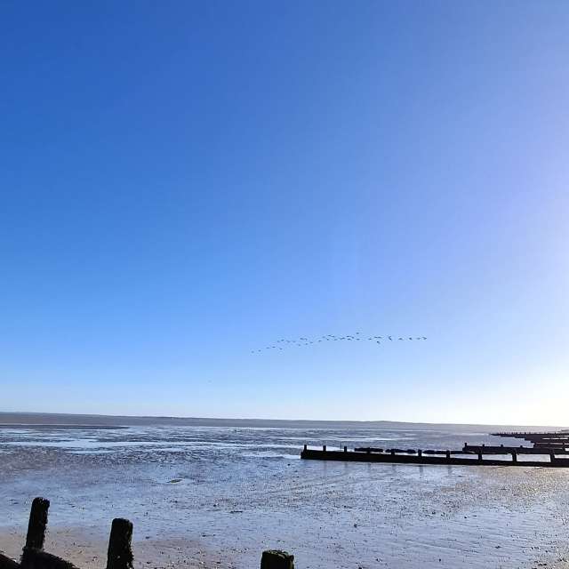 Lolliの美しい写真による天気予報