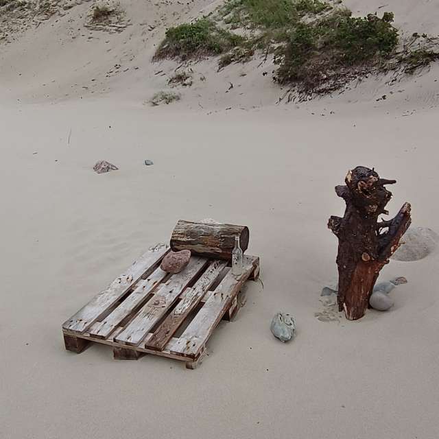 Fotos A lei. Previsões do tempo com lindas fotos de Михаил Бондаренко em Pionerskiy