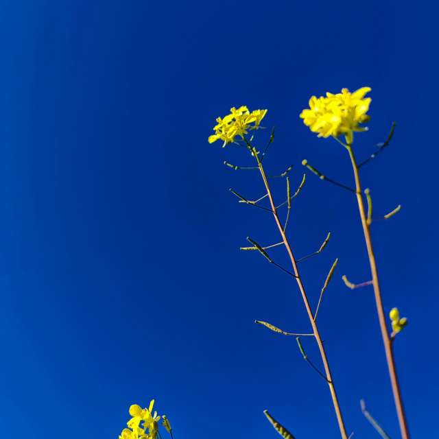 Прогнозы погоды с чудесными фотографиями, сделанными RUMBASTER