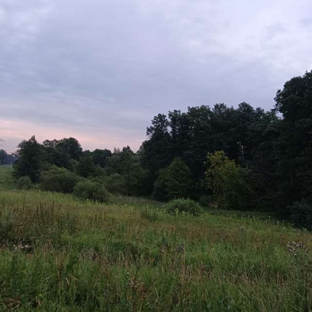 Grazing. Weather forecasts with beautiful photos by Amanda_and_Valdemar_Che Photos in Izmaylovo District