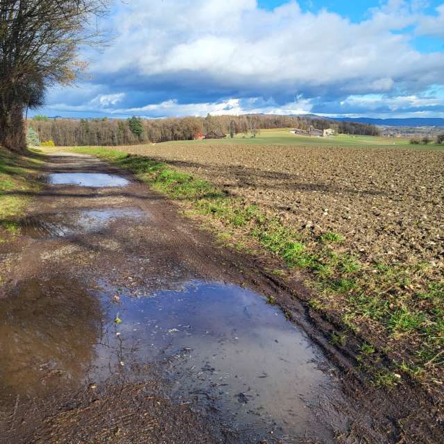 Прогнозы погоды с чудесными фотографиями, сделанными aida-khaldi